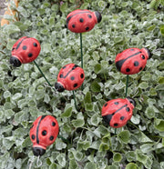Ceramic Ladybug Plant Stake