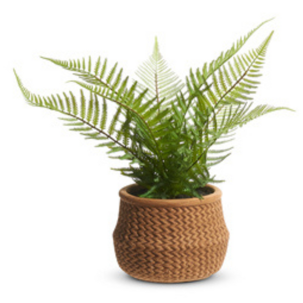 Potted Ferns in Basket, 15"