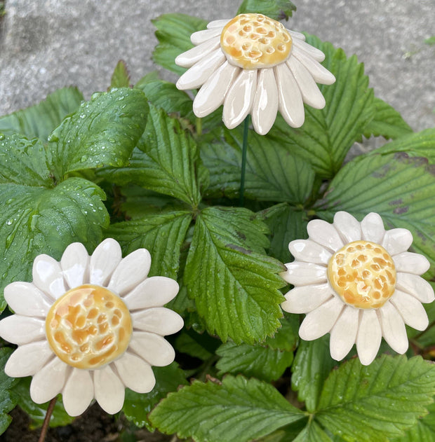 Ceramic Daisy on Stem
