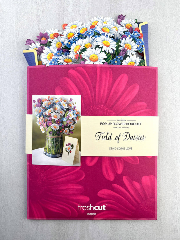 Field of Daisies Pop-Up Card