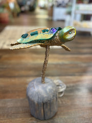 Turtle Lamp on Driftwood