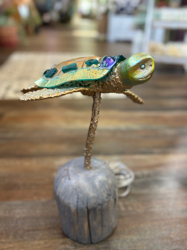 Turtle Lamp on Driftwood