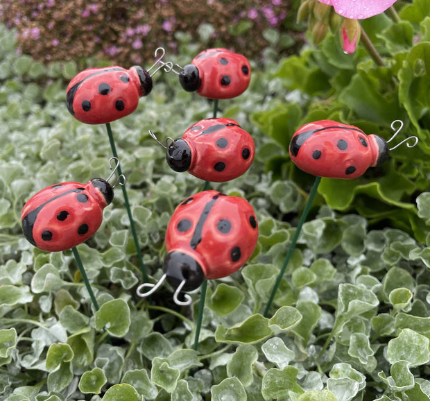 Ceramic Ladybug Plant Stake