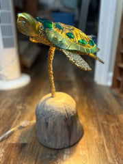 Turtle Lamp on Driftwood