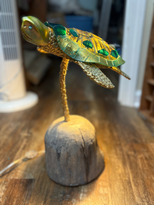 Turtle Lamp on Driftwood