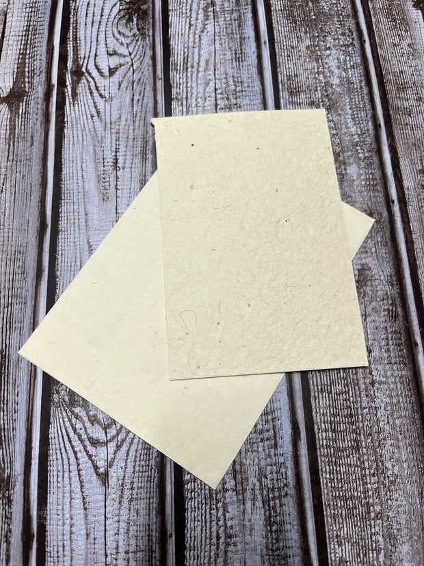 Enjoy the Journey Plantable Greeting Card