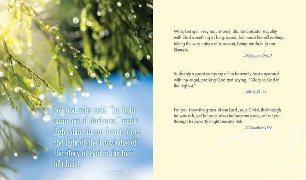 Jesus Calling For Christmas: Seasonal Devotions for Christmas