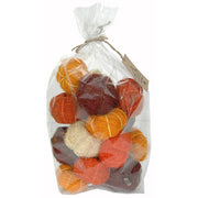 Dried Pumpkins 18 Pc Bag Assorted Colors