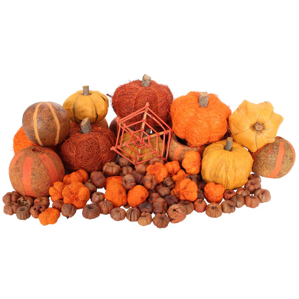 Dried Exotic Orange Pumpkins