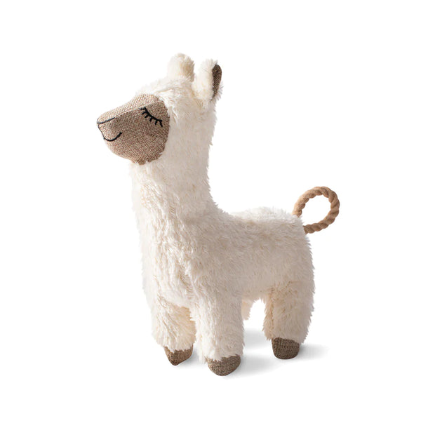 Fleeced to Meet You 3D Earth Friendly Dog Toy