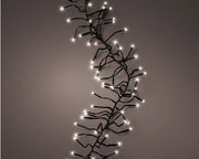 Cluster 1128 Lights