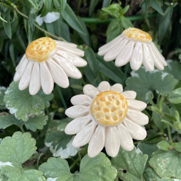 Ceramic Daisy on Stem