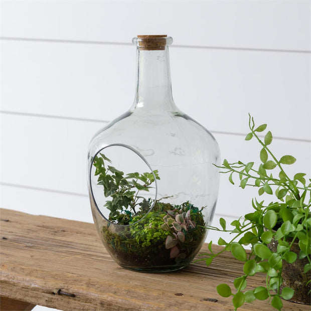 Open Front Terrarium with Cork