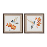 Framed Hummingbird Prints