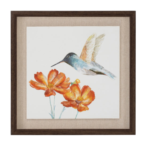 Framed Hummingbird Prints