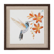 Framed Hummingbird Prints