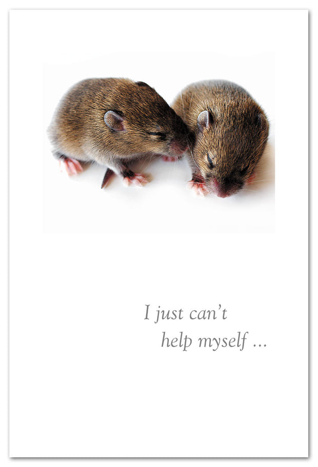 Mice Sweethearts Love Card