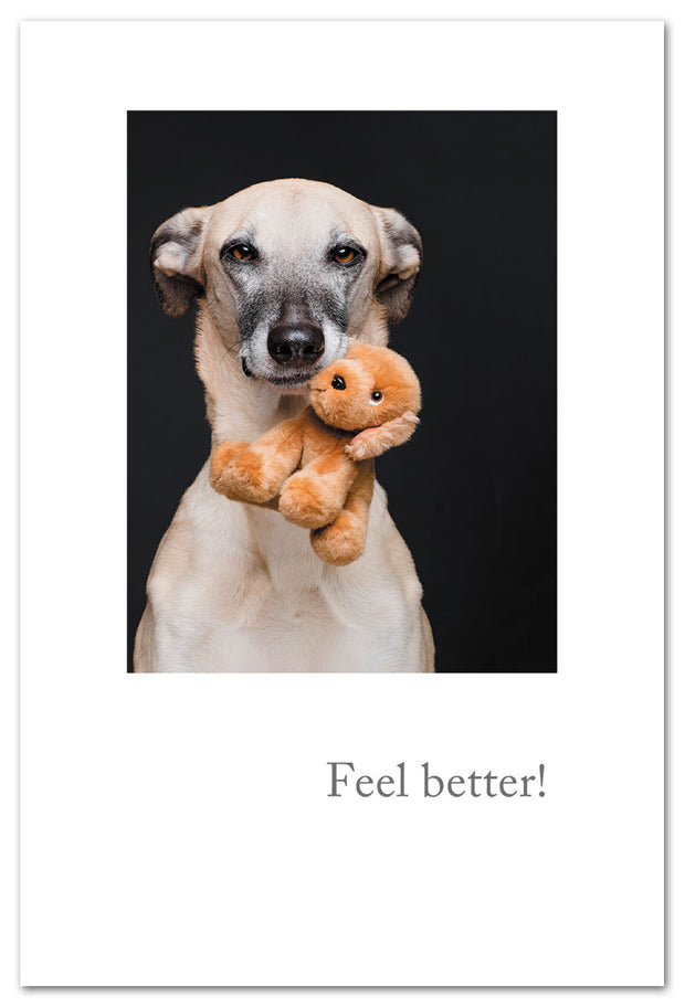 Dog with Plush Feel Better Card