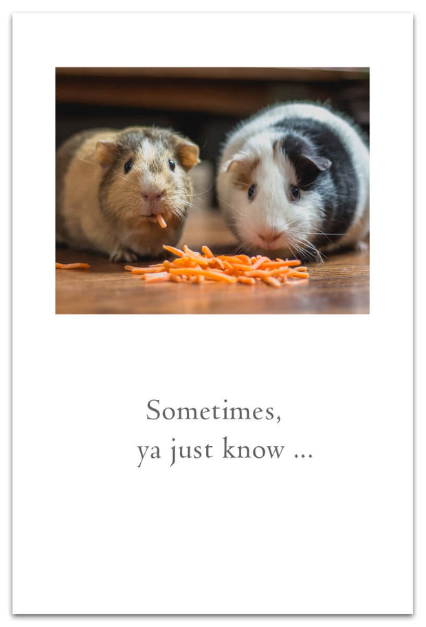 Guinea Pig Pals Friendship Card