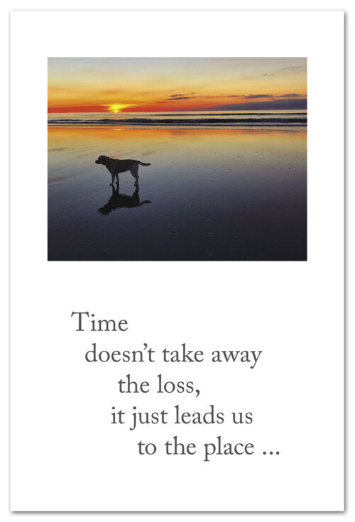 Dog on Sunset Beach Pet Condolence Card