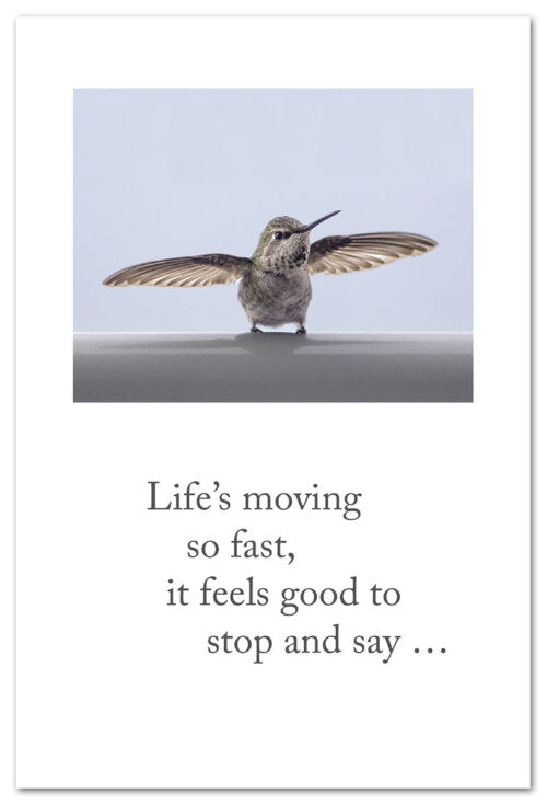 Hummingbird at Rest Thinking of You Card