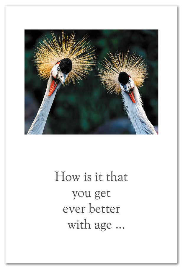 Grey-Crowned Cranes Birthday Card