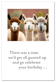 Alpaca Pals Birthday Card