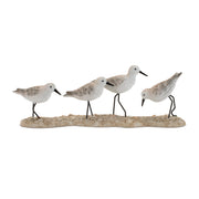 Sea Birds on Beach Decoy