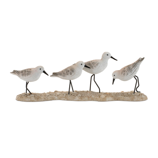 Sea Birds on Beach Decoy