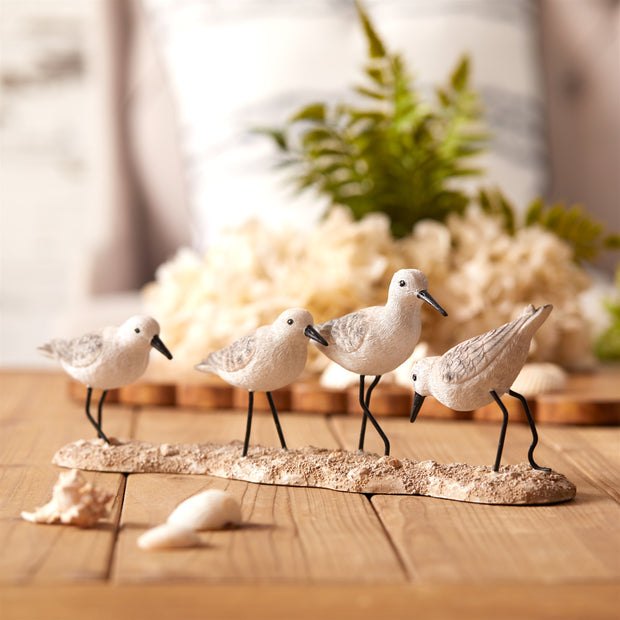 Sea Birds on Beach Decoy