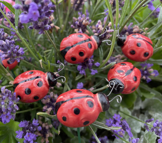 Ceramic Ladybug Plant Stake