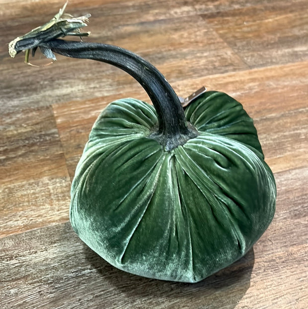 6" Sage Pumpkin