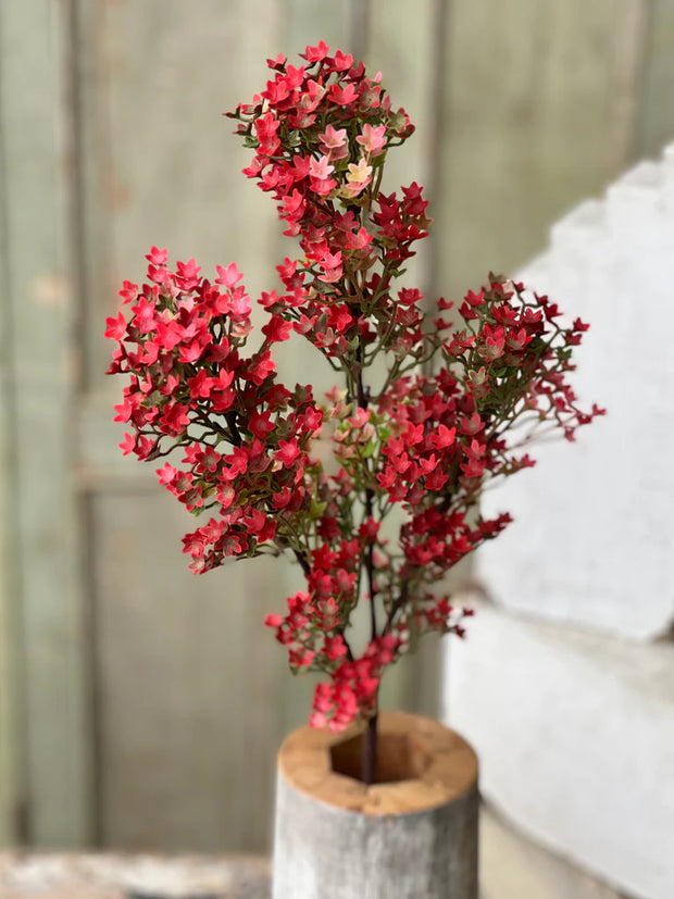 28" Red Andromeda Buds Pick