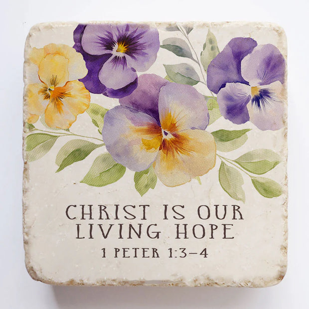 1 Peter 1:3-4 Scripture Stone
