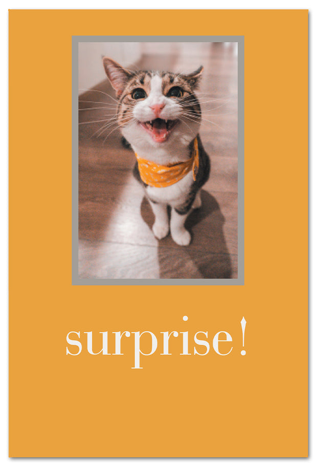 Surprise Cat Birthday Card