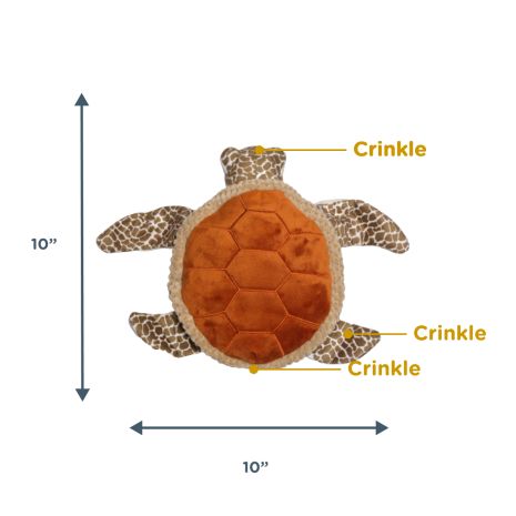 Animated Sea Turtle