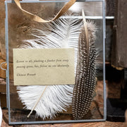 Plumes Feather Collection