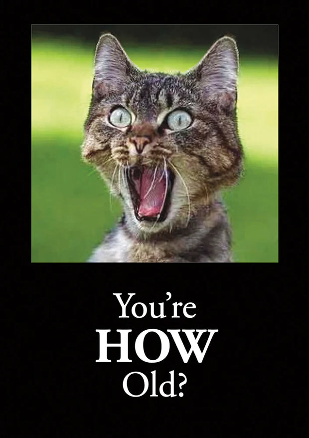 You're How Old Cat Greeting Card