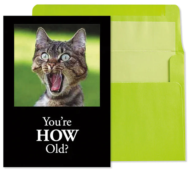 You're How Old Cat Greeting Card