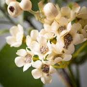 8" Eucalyptus/Waxflower Floral Pick