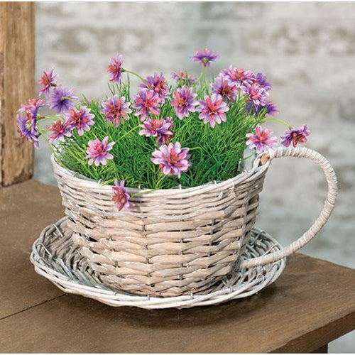 Gray Willow Cup & Saucer Planter