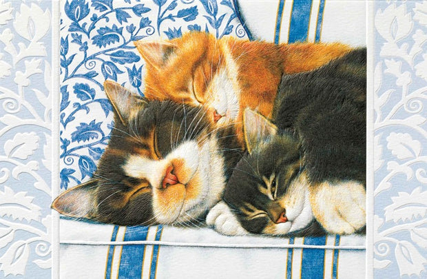 Sleepy Kitties Birthday Greeting Card