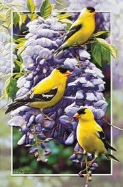 Goldfinch in Wisteria Encouragement Greeting Card