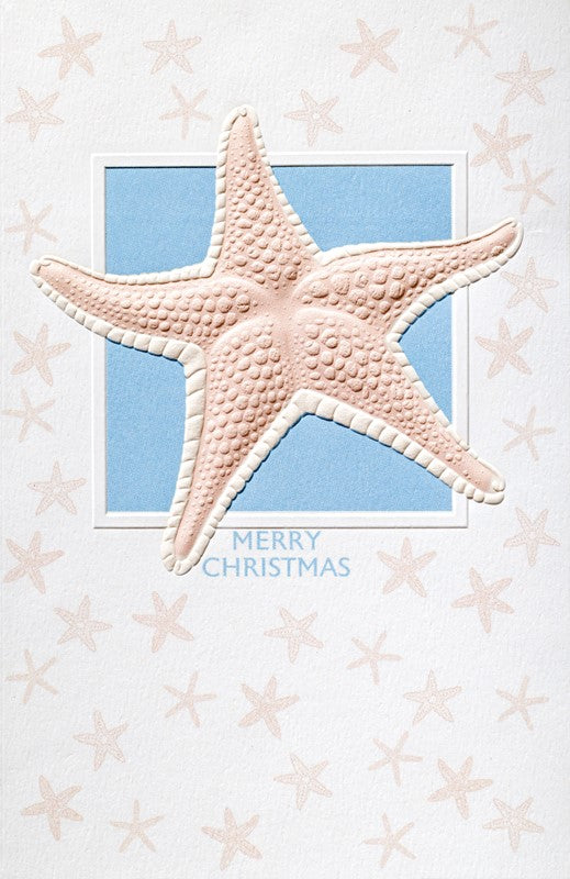 Splendid Starfish 16 Deluxe Boxed Christmas Cards