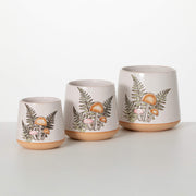 Mushroom Containers