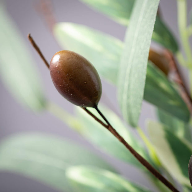Olive Leaf Floral Pick