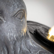 LED Bird Water Fountain