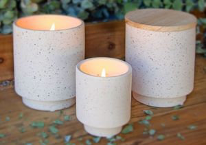 Simply Classic Collection - Swan Creek Soy Candles