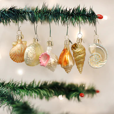 Assorted Sea Shell Ornament Set