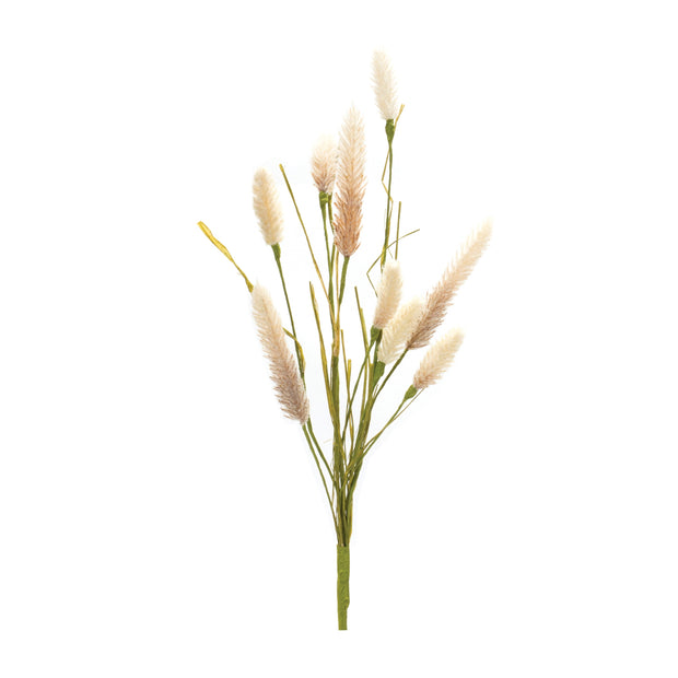 Foxtail Spray